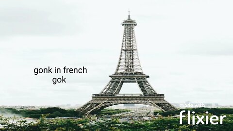 gonk in french