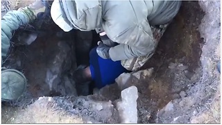 Dog Brought To Safety After Being Trapped In A Hole For 72 Hours