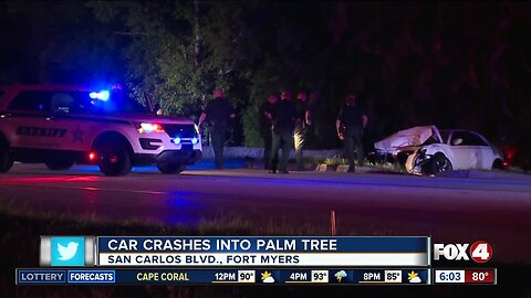 Car crashes into palm tree on San Carlos Boulevard in Fort Myers