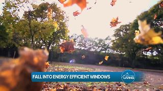 Fall Into Energy Efficient Windows with Lifetime Windows and Siding