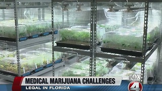 Medical Marijuana Challenges