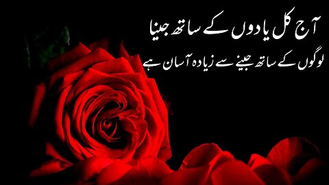 Heart Touching Voice Urdu Quotes - Aqwal e Zareen Achi Baatein - Life Changing Urdu Quotes Status