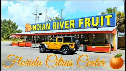 FLORIDA 🍊 CITRUS CENTER | ROADSIDE ATTRACTION | FULL EXPERIENCE | & REVIEW