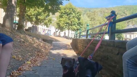 Mesmerizing Luxemburg! Spots found along Esch Sur Sure. Patterdale Terriers & Family love