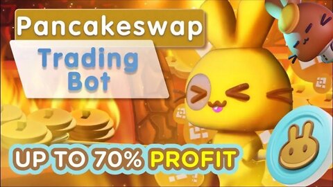 Pancakeswap Bot / 70% profit on passive per month / Pancakeswap Sniper Bot / Bsc Sniper Bot