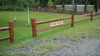 metal detecting at the lions recreational area in Fairbanks Alaska