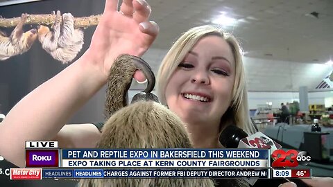 Pet and Reptile Expo brings sloths, gators and more to fairgrounds