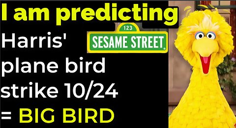 I am predicting: Harris' plane will crash - bird strike - on Oct 10/24 = BIG BIRD PROPHECY