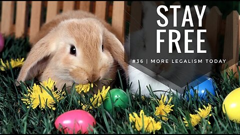 Stay Free #36 | More Examples Of Legalism Today