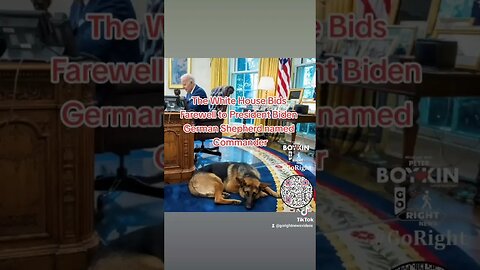 The White House Bids Farewell to President Biden German Shepherd named Commander #gorightnews