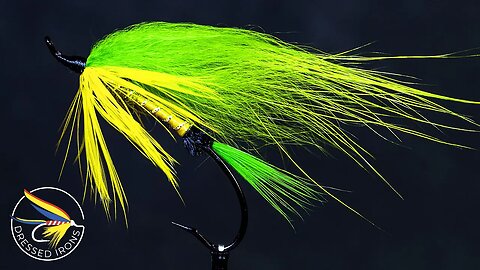 Remnant Fly #10 - Salmon/Steelhead Style - Dressed Irons