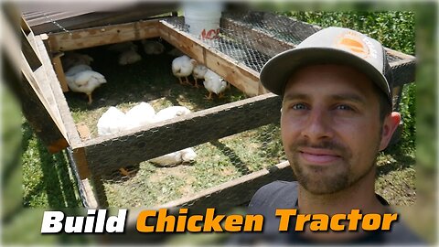 Can we raise Broiler meat Chickens on our 4 acre property? DIY Chicken tractor keeps predators out.