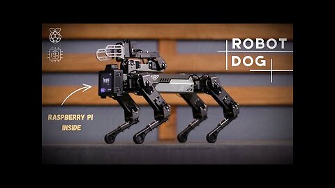 Meet My New Pet Dog Robot | CM4 XGO Robot
