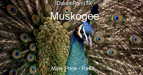 DreamPondTX/Mark Price - Muskogee (Pa4X at the Pond, PP)