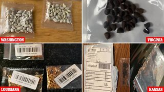 China send mysterious seeds to America