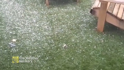 Backyard gets pummelled with hail