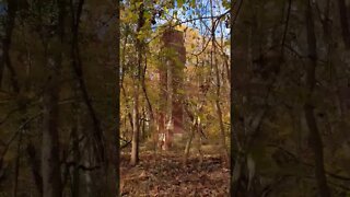 Charles Remey's tomb in Lorton, Virginia was never used. So why does it lay in ruins?