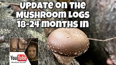 Update on Mushroom Logs 18-24 Months