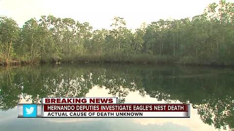 Drowning at the Eagle’s Nest in Hernando County