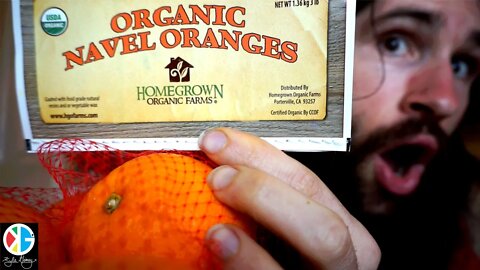 Navel Orange Taste Test Nutrition Facts What Is A Navel Orange?