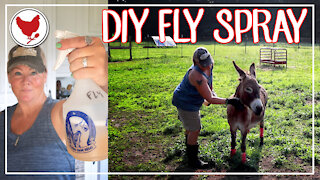 DIY FLY SPRAY | Keep the Flies off Your Animals!