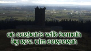 On Carden's Wild Domain by Rev. Tim Corcoran