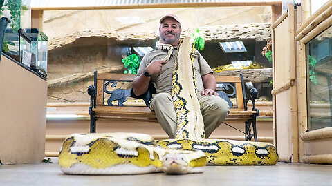 'Snake God' Wrestles 20ft Pythons | BEAST BUDDIES