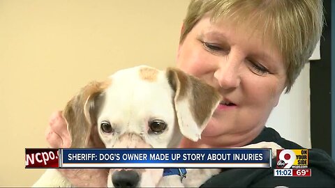 Injured Butler County dog 'just all love' in her new foster home