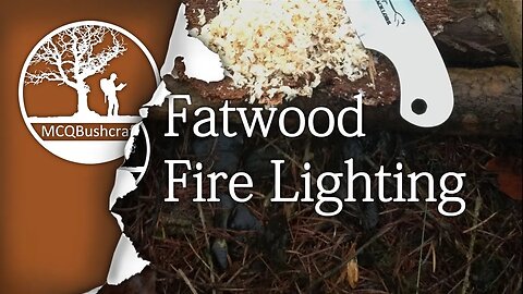 Bushcraft Fire Lighting: Make Fire With Fatwood Tinder
