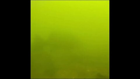 underwater footage
