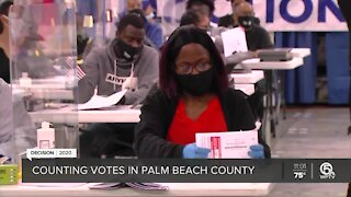 'Great' Election Day in Palm Beach County with no major equipment or harassment issues, officials say