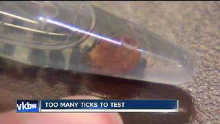 Too many ticks to test by Lyme WNY