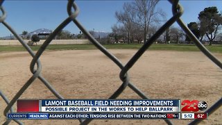Damaged Lamont baseball field could get second life