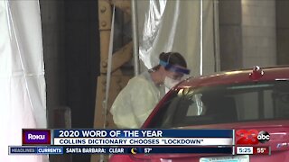 Collins Dictionary says "lockdown" is word of the year for 2020