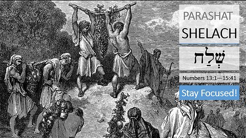 Parashat Shelach: Numbers 13:1—15:41 – Stay Focused