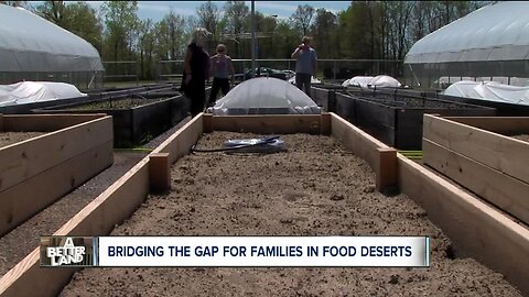 'Micro-farm' to bring fresh produce to food deserts in Mansfield area