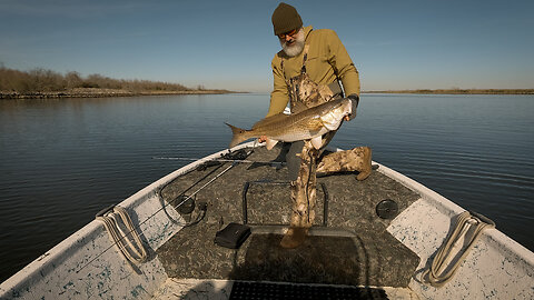 Marsh Donkey Devours This New Bait