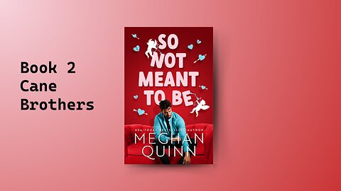 "So Not Meant to be by Meghan Quinn"