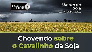 Chovendo sobre o Cavalinho da Soja