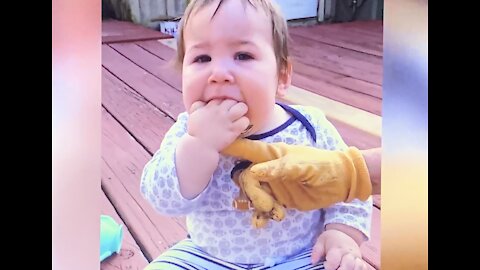 The Kid ate that Lizard. OMG! what happend? 🐶🐱🐭🐹 Funny and Cute Pet Videos