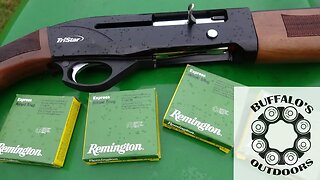 Remington Rifled .410 Slugs / TriStar Viper G2