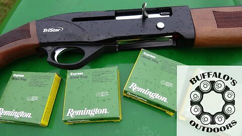 Remington Rifled .410 Slugs / TriStar Viper G2