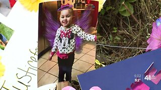 Calls for action after toddler's death