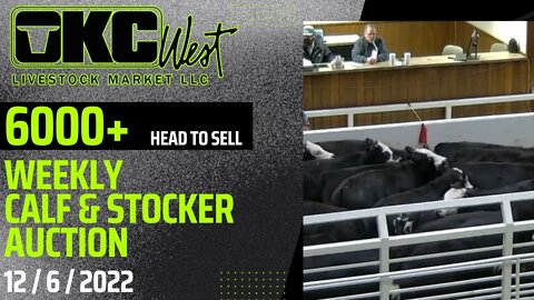 12/6/2022 - OKC West Calf and Stocker Auction