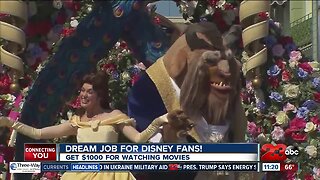 Dream Job for Disney Fans