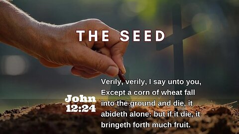 The Seed | Pastor Bickel | Bethel Baptist Fellowship [SERMON]