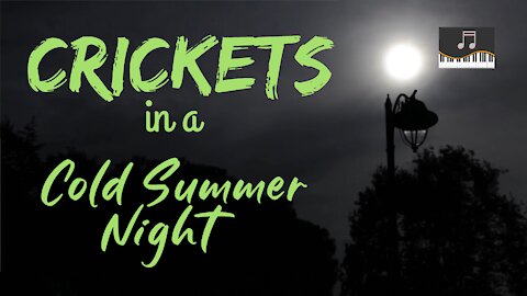 Crickets in a Cold Summer Night | Crickets at Night | Ambient Sound | What Else Is There?