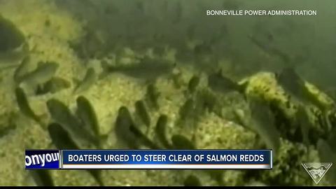Middle Fork boaters urged to steer clear of salmon spawning areas