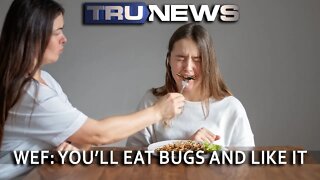 WEF: You'll Eat Bugs and Like it