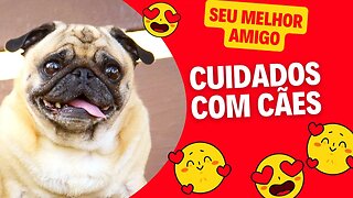 Cuidados com Cães